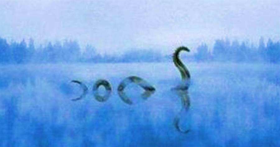 太神秘！青海湖「水怪」多次現身，像鱉殼又像鯨背，見人便潛水底！