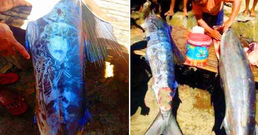 太神奇！菲律賓漁民竟捕獲野生「紋身魚」，圖案清晰可見，網：社會我魚哥，人狠話不多！